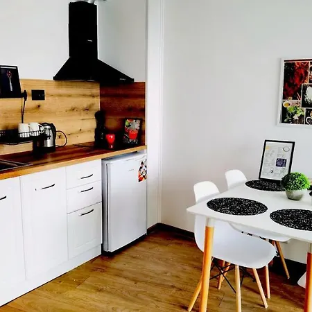 F 207 Del Sol - просторно студио с кухня и паркомясто * פרימורסקו