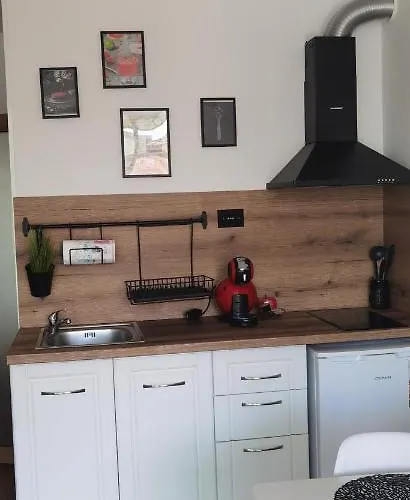 F 207 Del Sol - просторно студио с кухня и паркомясто *