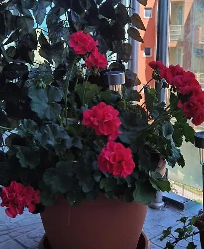 Апартамент F 207 Del Sol - просторно студио с кухня и паркомясто *