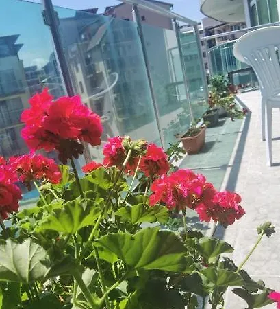 F 207 Del Sol - просторно студио с кухня и паркомясто *