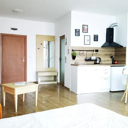 F 207 Del Sol - просторно студио с кухня и паркомясто * Πριμόρσκο